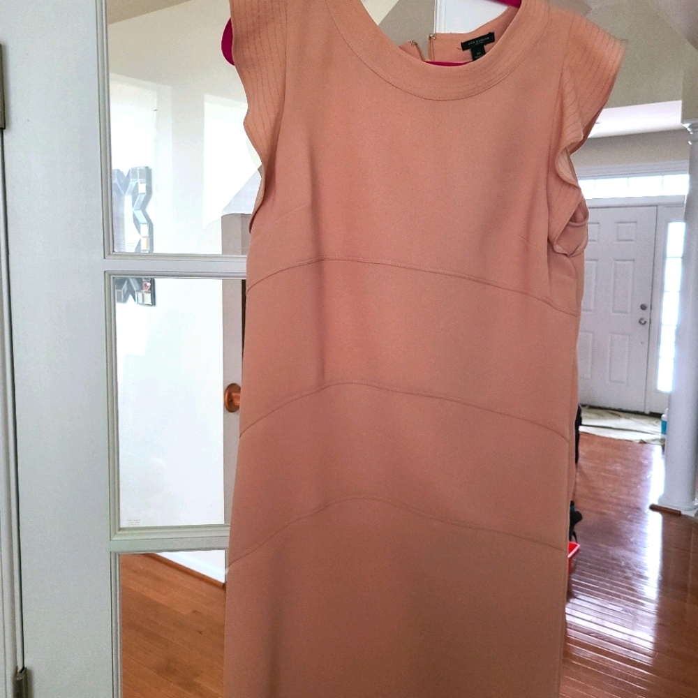Ann Taylor's Peachy/ Nude Dress